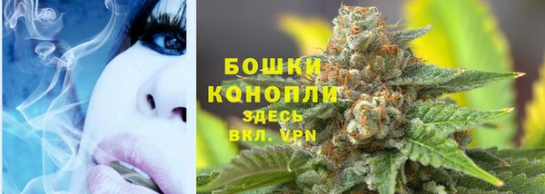 ПСИЛОЦИБИНОВЫЕ ГРИБЫ Весьегонск
