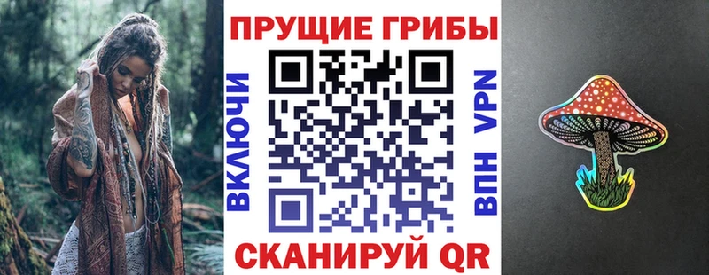 цены   Тосно  OMG ссылки  Галлюциногенные грибы Psilocybine cubensis 